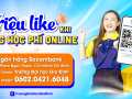 Triệu like khi thanh toán online 